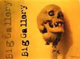 Big Gallery
